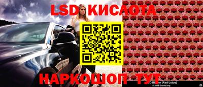 шишки Ковров