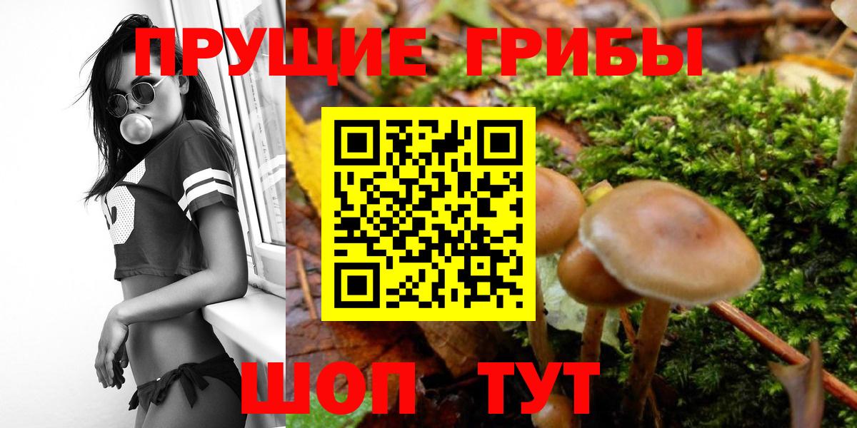 Галлюциногенные грибы Cubensis Лянтор
