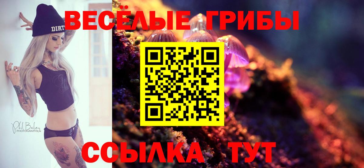 закладка  Вход с VPN  Лянтор  Галлюциногенные грибы MAGIC MUSHROOMS  Псилоцибиновые грибы прущие грибы 
